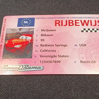 Race o Rama - de Voer