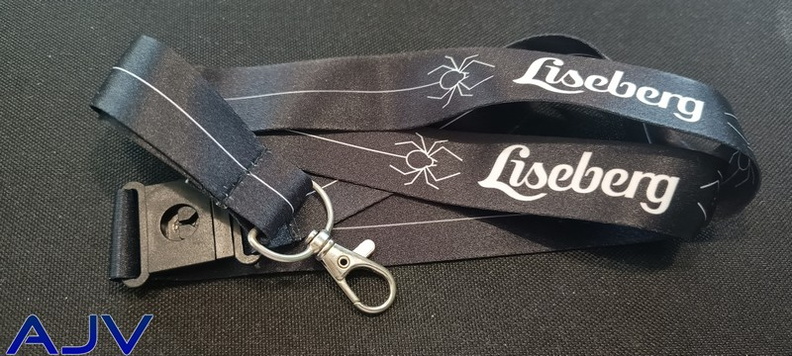 Liseberg 